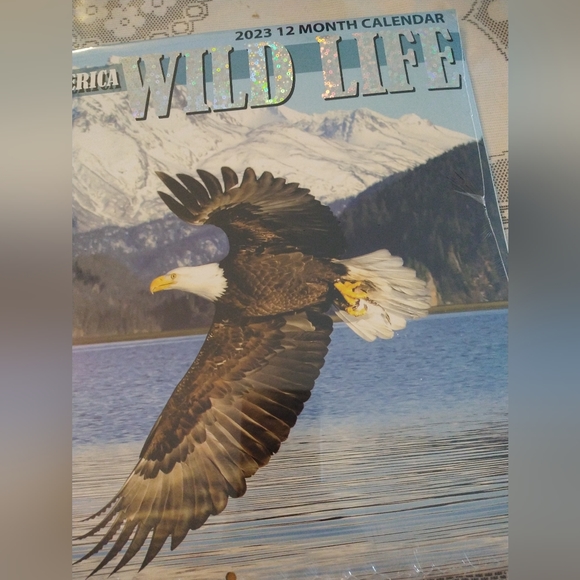 North America Wild Life 12*12" Wall Calendar 2023 Eagle Flying on Cover - Picture 3 of 5